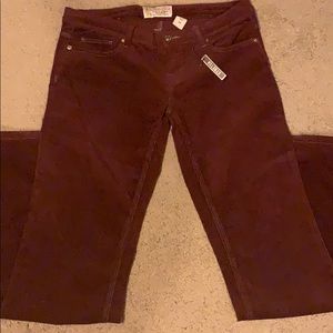 💕SALE💕Burgundy Velour Stretch jeans/pant